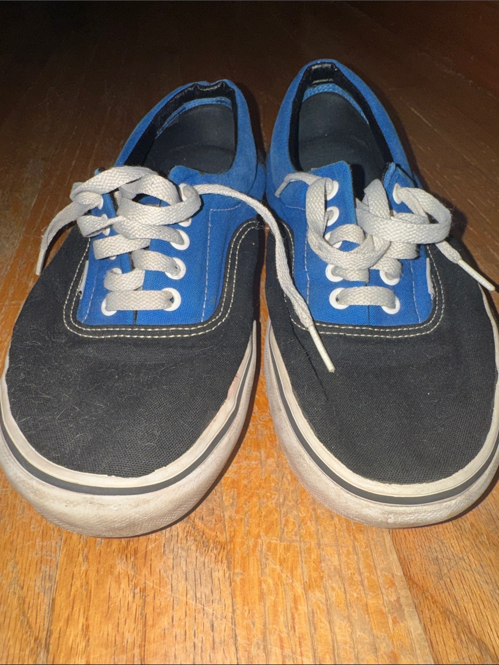 Vans Blue & Black Low-Top Canvas Sneakers